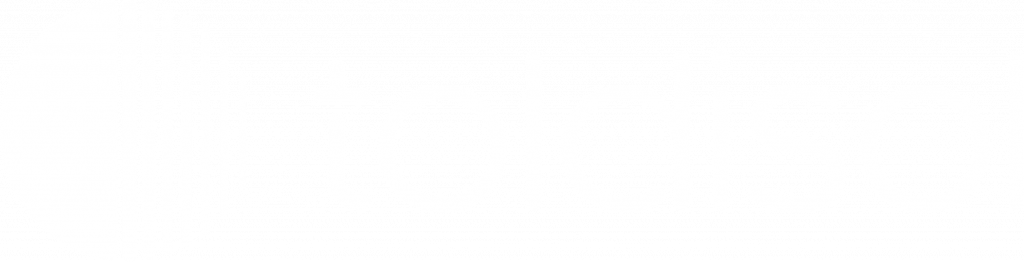 TOLDISOL-Logo-blanco-Fondo-transparente-alta-resolucion-1-1024x262